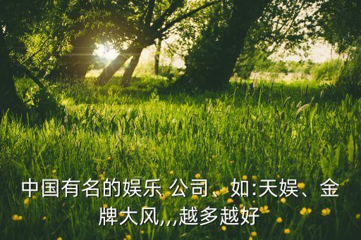 中國有名的娛樂 公司、如:天娛、金牌大風(fēng),,,越多越好
