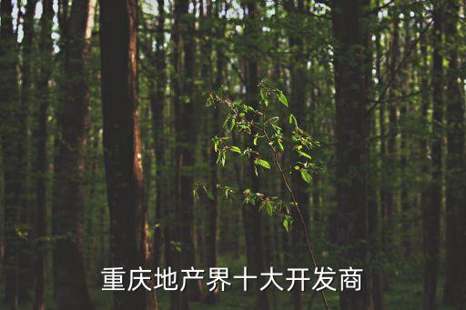 重慶地產界十大開發(fā)商