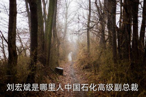 劉宏斌是哪里人中國石化高級(jí)副總裁