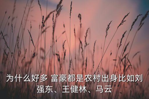 為什么好多 富豪都是農(nóng)村出身比如劉強(qiáng)東、王健林、馬云