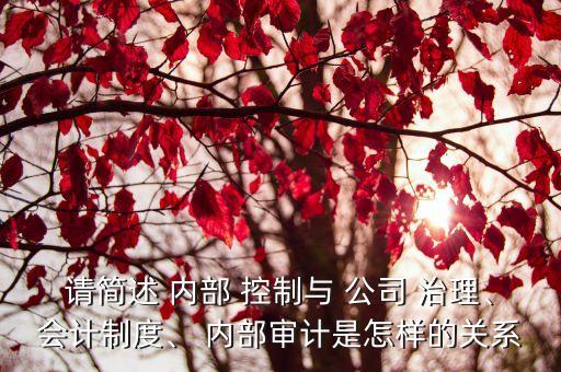 請簡述 內(nèi)部 控制與 公司 治理、會計(jì)制度、 內(nèi)部審計(jì)是怎樣的關(guān)系