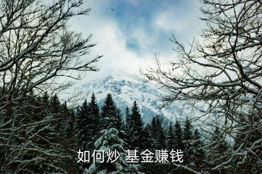 基金操盤手,社?；鸩俦P手