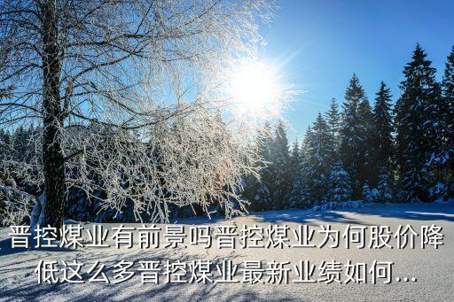 晉控煤業(yè)有前景嗎晉控煤業(yè)為何股價(jià)降低這么多晉控煤業(yè)最新業(yè)績(jī)?nèi)绾?..