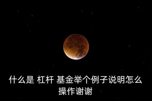 什么是 杠桿 基金舉個(gè)例子說明怎么操作謝謝