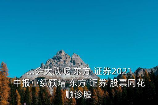 ...會大跌呢 東方 證券2021中報(bào)業(yè)績預(yù)增 東方 證券 股票同花順診股