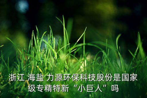 浙江 海鹽 力源環(huán)?？萍脊煞菔菄?guó)家級(jí)專(zhuān)精特新“小巨人”嗎