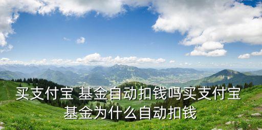 買(mǎi)支付寶 基金自動(dòng)扣錢(qián)嗎買(mǎi)支付寶 基金為什么自動(dòng)扣錢(qián)