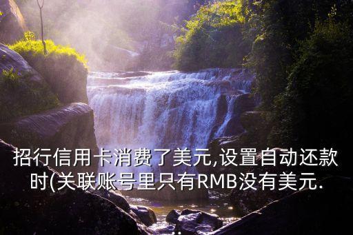 招行信用卡消費(fèi)了美元,設(shè)置自動(dòng)還款時(shí)(關(guān)聯(lián)賬號(hào)里只有RMB沒有美元...