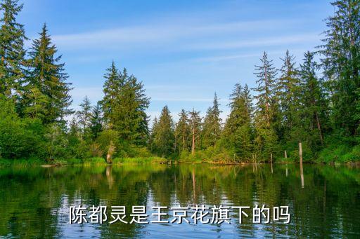 上海旗娛網絡科技有限公司,上海易娛網絡科技有限公司