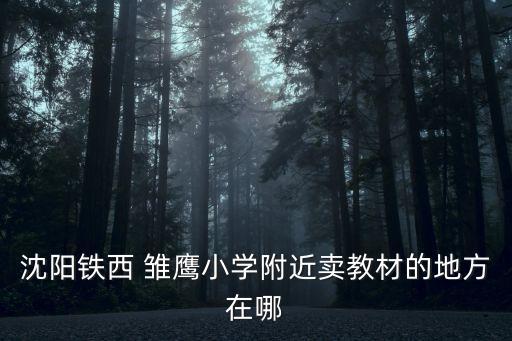 沈陽鐵西 雛鷹小學附近賣教材的地方在哪