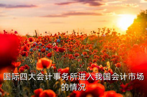 國際四大會計(jì)事務(wù)所進(jìn)入我國會計(jì)市場的情況