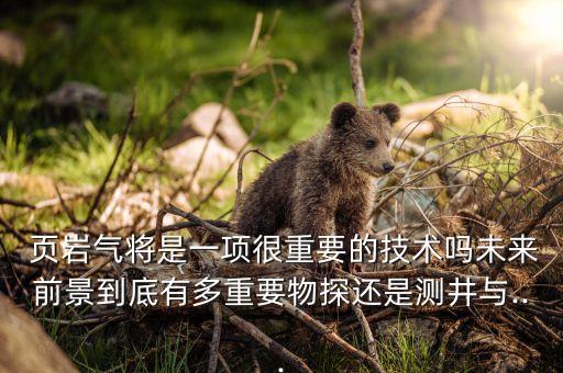  頁(yè)巖氣將是一項(xiàng)很重要的技術(shù)嗎未來前景到底有多重要物探還是測(cè)井與...