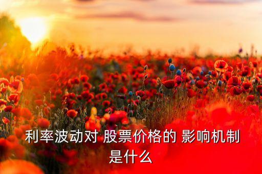  利率波動對 股票價(jià)格的 影響機(jī)制是什么
