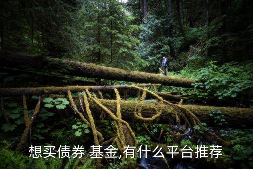 哪些網(wǎng)站可以買(mǎi)基金,哪些ETF基金值得買(mǎi)