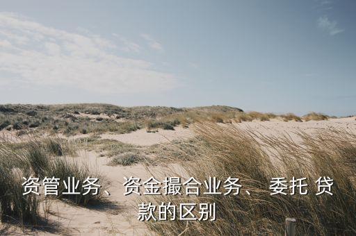 資管業(yè)務(wù)、資金撮合業(yè)務(wù)、 委托 貸款的區(qū)別