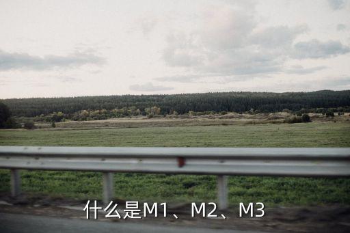 什么是M1、M2、M3