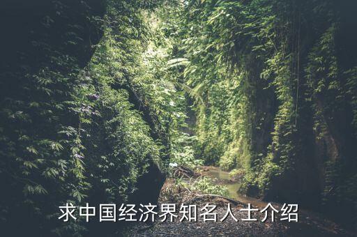 求中國經濟界知名人士介紹