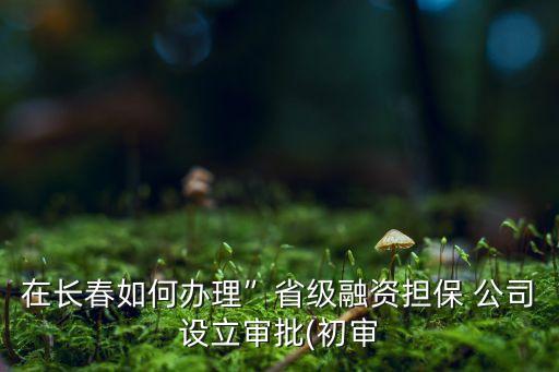 在長春如何辦理”省級融資擔保 公司設(shè)立審批(初審
