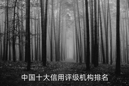 中國十大信用評(píng)級(jí)機(jī)構(gòu)排名