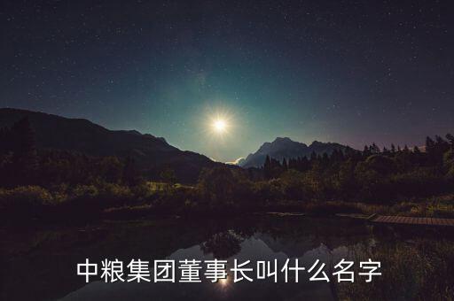 中糧地產(chǎn)沈陽(yáng)公司總經(jīng)理,越秀地產(chǎn)沈陽(yáng)公司總經(jīng)理