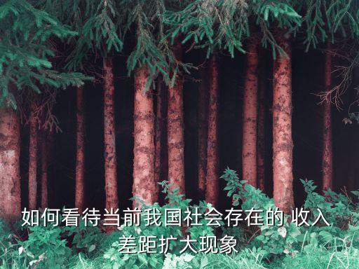 如何看待當(dāng)前我國社會存在的 收入 差距擴大現(xiàn)象
