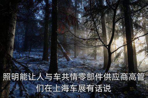 照明能讓人與車(chē)共情零部件供應(yīng)商高管們?cè)谏虾＼?chē)展有話(huà)說(shuō)