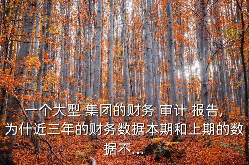 一個大型 集團的財務 審計 報告,為什近三年的財務數據本期和上期的數據不...