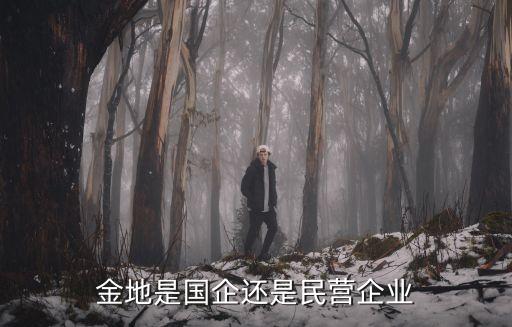 金地集團13年目標(biāo)