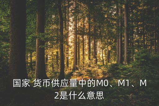 國(guó)家 貨幣供應(yīng)量中的M0、M1、M2是什么意思