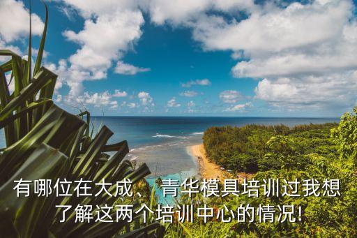 有哪位在大成、 青華模具培訓(xùn)過(guò)我想了解這兩個(gè)培訓(xùn)中心的情況!