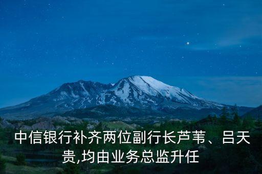  中信銀行補齊兩位副行長蘆葦、呂天貴,均由業(yè)務總監(jiān)升任