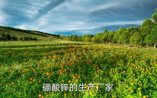 硼酸鋅的生產廠家