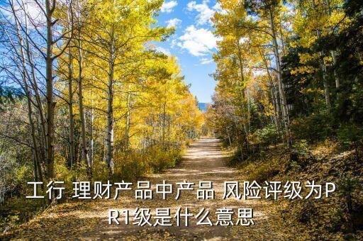 銀行理財(cái)風(fēng)險(xiǎn)等級含義,銀行風(fēng)險(xiǎn)承擔(dān)z值的含義