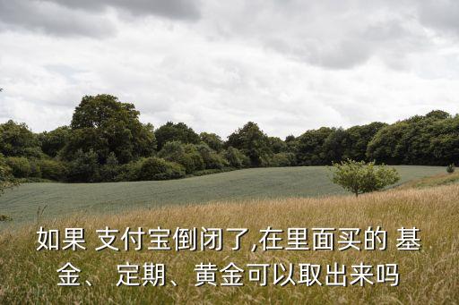 如果 支付寶倒閉了,在里面買的 基金、 定期、黃金可以取出來嗎
