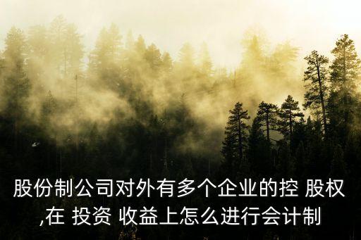 股份制公司對外有多個(gè)企業(yè)的控 股權(quán),在 投資 收益上怎么進(jìn)行會(huì)計(jì)制