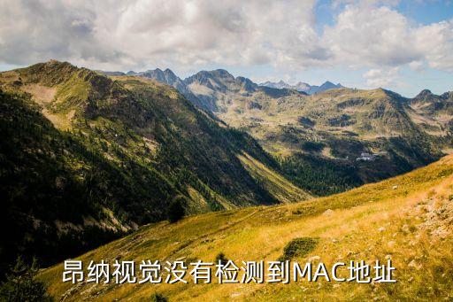  昂納視覺(jué)沒(méi)有檢測(cè)到MAC地址