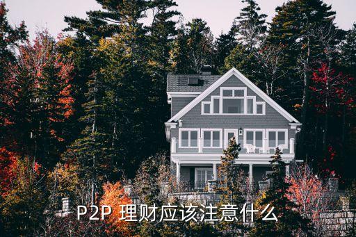P2P 理財應該注意什么