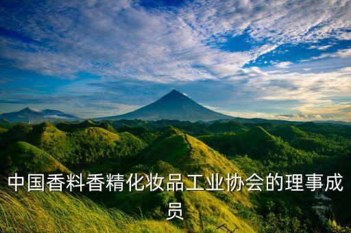 中國香料香精化妝品工業(yè)協(xié)會(huì)的理事成員