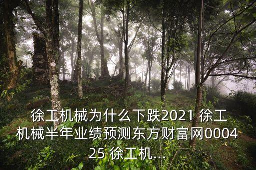  徐工機(jī)械為什么下跌2021 徐工機(jī)械半年業(yè)績預(yù)測東方財(cái)富網(wǎng)000425 徐工機(jī)...