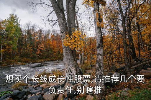 想買(mǎi)個(gè)長(zhǎng)線成長(zhǎng)性股票,請(qǐng)推薦幾個(gè)要負(fù)責(zé)任,別瞎推
