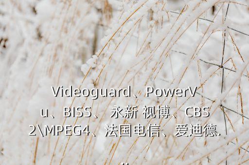 Videoguard、PowerVu、BISS、 永新 視博、CBS2\MPEG4、法國電信、愛迪德...