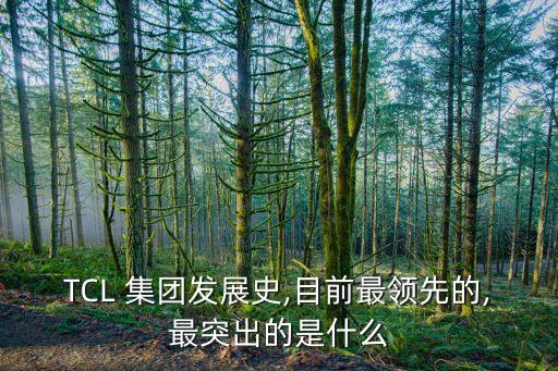 TCL 集團(tuán)發(fā)展史,目前最領(lǐng)先的,最突出的是什么