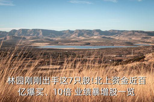林園剛剛出手這7只股!北上資金近百億爆買、10倍 業(yè)績暴增股一覽
