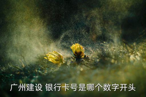 廣州建設 銀行卡號是哪個數(shù)字開頭