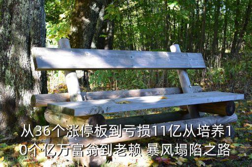 從36個(gè)漲停板到虧損11億從培養(yǎng)10個(gè)億萬(wàn)富翁到老賴 暴風(fēng)塌陷之路