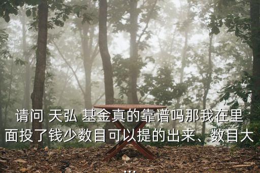 請問 天弘 基金真的靠譜嗎那我在里面投了錢少數(shù)目可以提的出來、數(shù)目大...