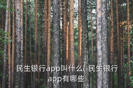 民生銀行網銀企業(yè)財務室在哪里