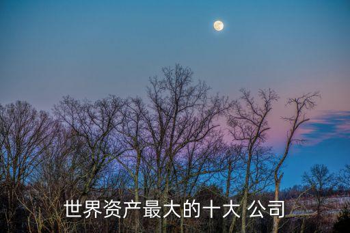 全球最賺錢(qián)公司排名列表,全球賺錢(qián)最快的公司排名