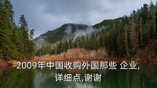 2009年中國收購?fù)鈬切?企業(yè),詳細(xì)點(diǎn),謝謝