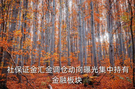 2014年二季度社保基金重倉(cāng)股票